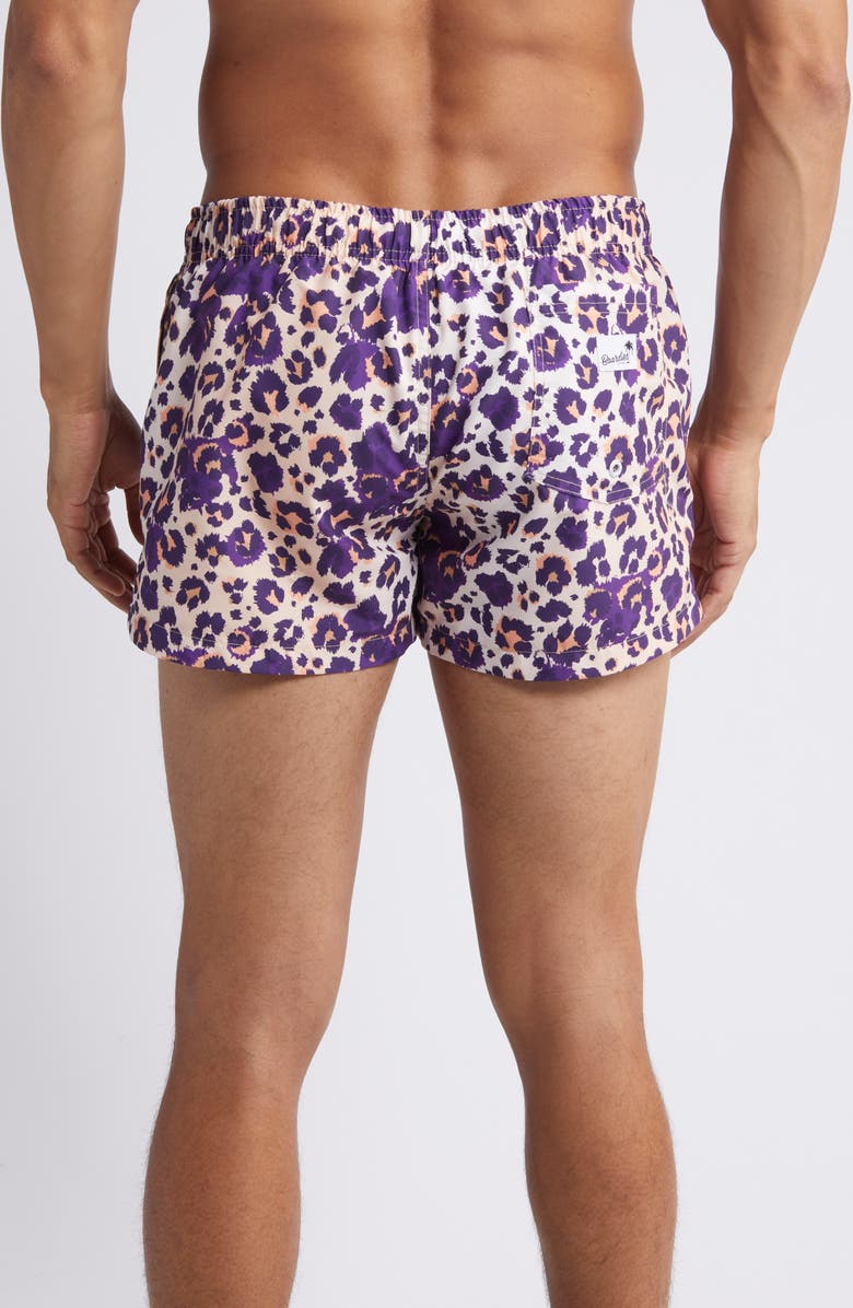 Boardies Cheetah Shortie Swim Trunks, Alternate, color, 