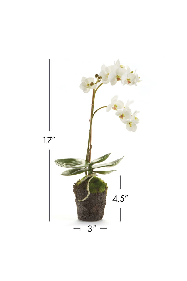 Phalaenopsis Orchid Faux (Fake) Drop-In 17", Alternate, color, White