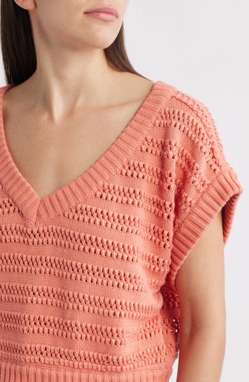 Cleobella Cece Short Sleeve Open Knit Organic Cotton Sweater In Pink