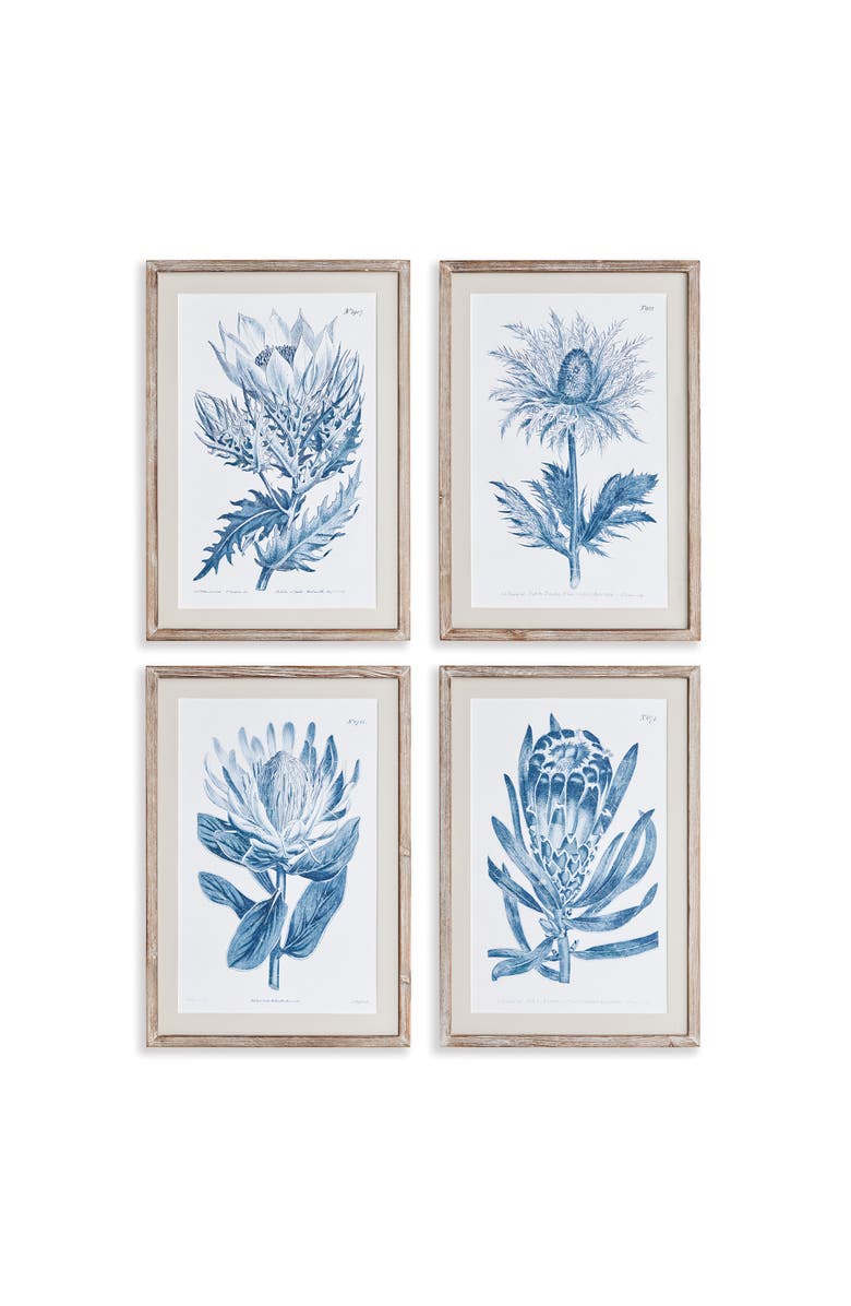 Napa Home & Garden Indigo Protea Prints St/4, Main, color, 