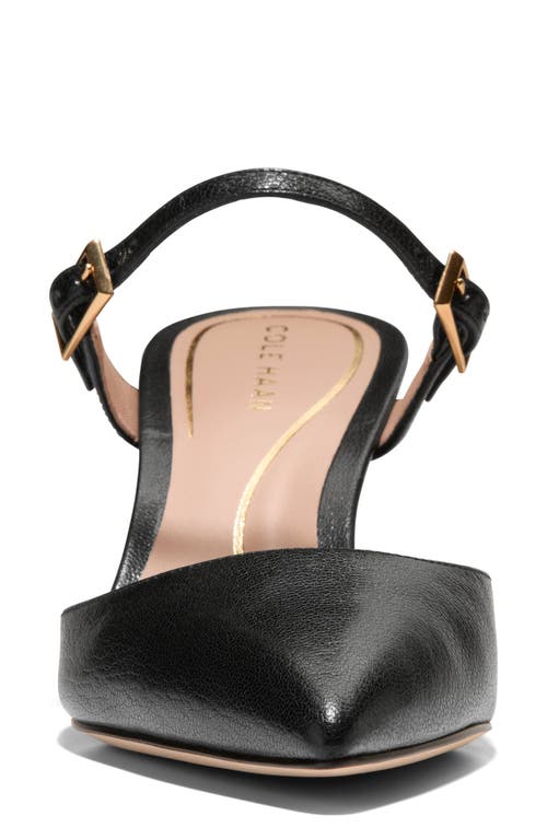 Cole Haan Annalise Pointed Toe Mule In Black
