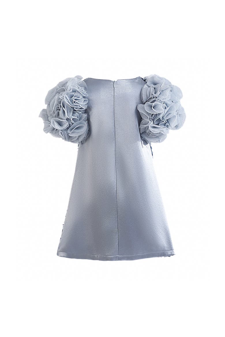 Seliora Floral Embellished Dress, Alternate, color, Blue