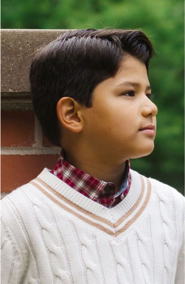 Hope & Henry Boys' Organic V-Neck Cricket Sweater, Kids, Alternate, color, 