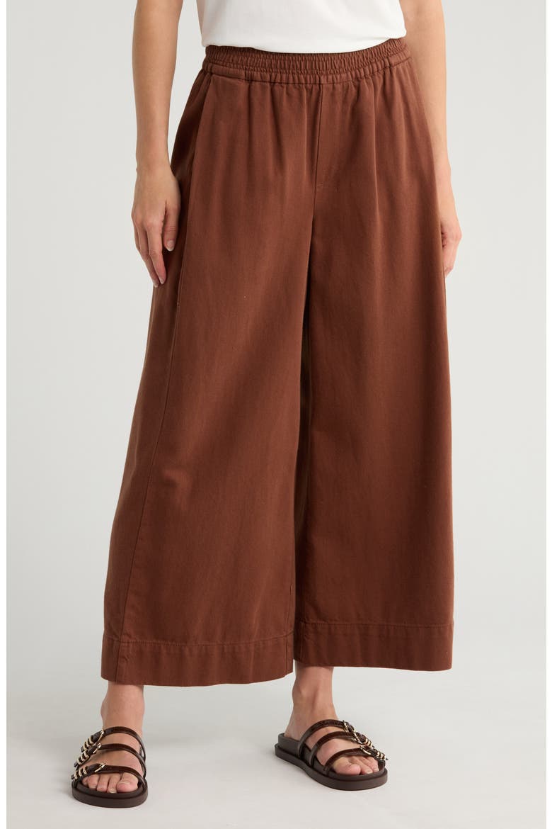 Pleated Crop Wide Leg Pull-On Pants, Main, color, CACAO POWDER