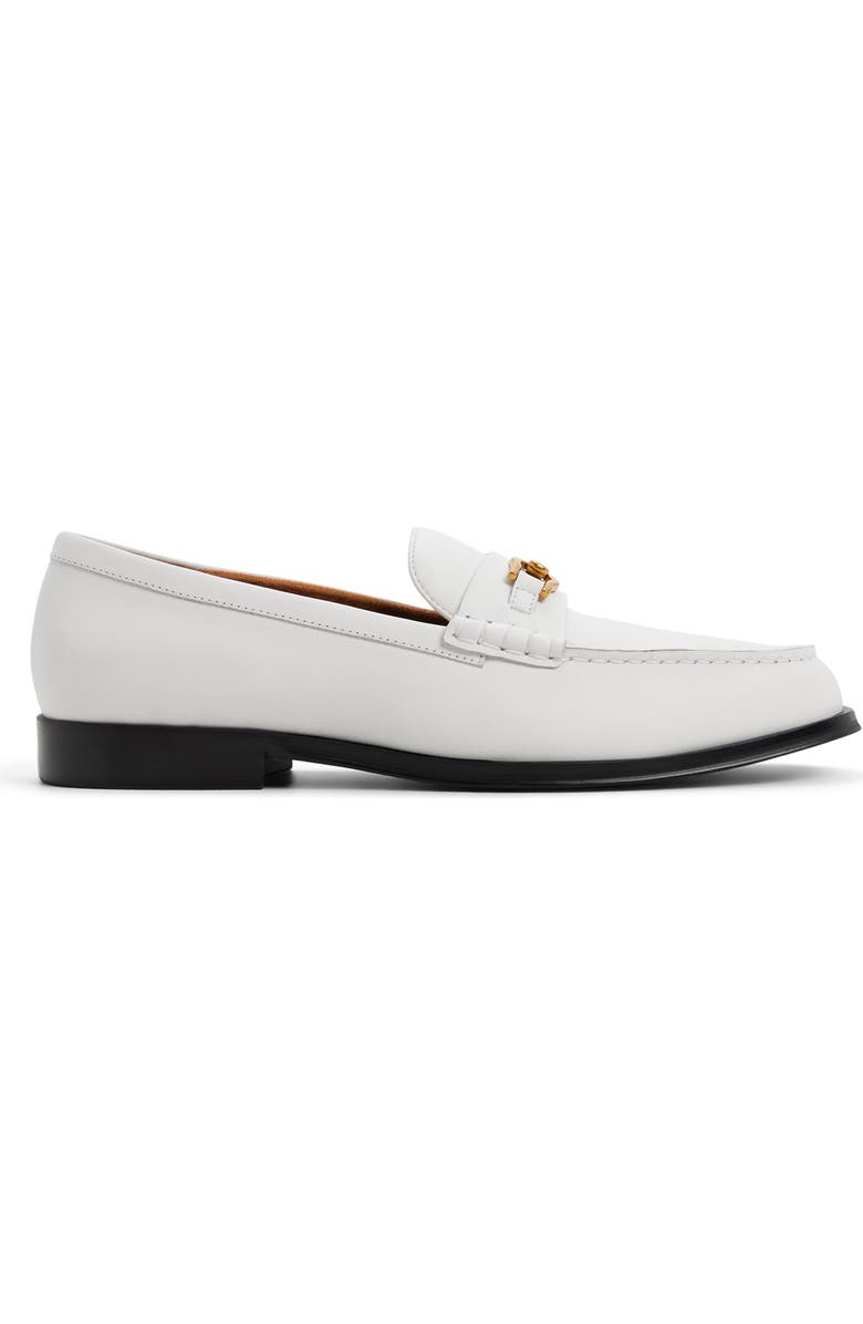 ALDO Edouard Bit Loafer, Alternate, color,