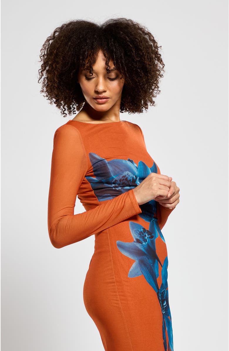 Daska Laila Dress, Alternate, color, Floral Print