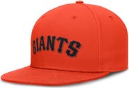 Nike Men's Nike Orange San Francisco Giants True Performance Fitted Hat