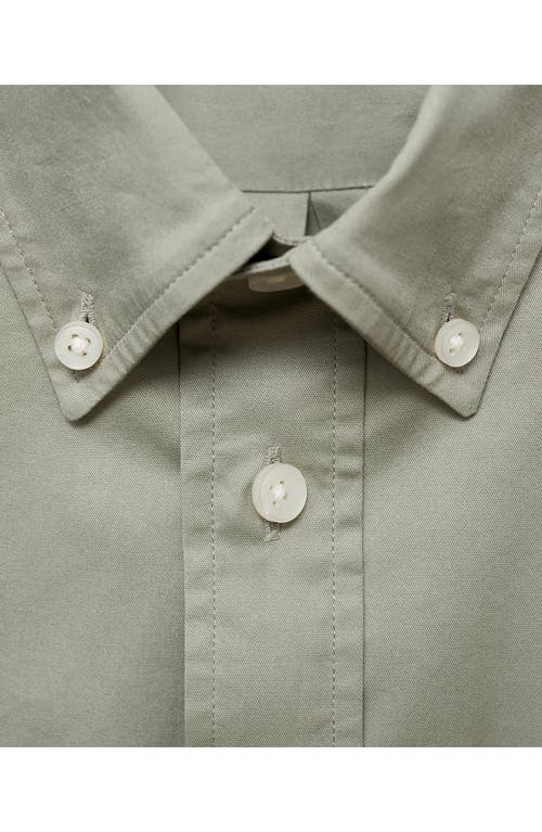 Mango Regular Fit Stretch Cotton Button-down Shirt In Khaki Green