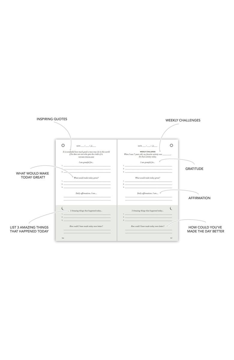 INTELLIGENT CHANGE The Five Minute Journal, Alternate, color, Oat