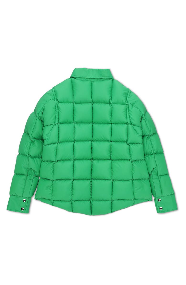 Fortela Crescent Down Shirt Jacket, Alternate, color, 