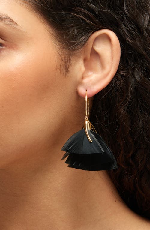 Gas Bijoux Marly Feather Hoop Earrings In Black