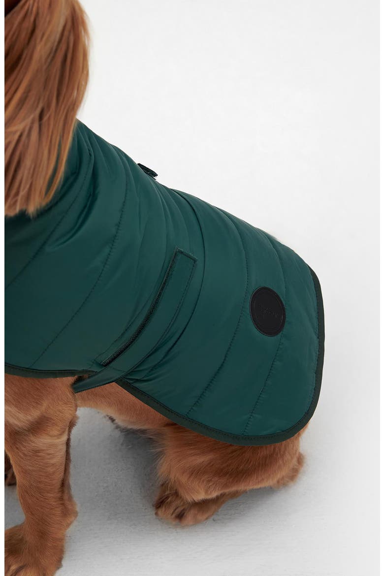 Baffle Quilted Dog Coat, Alternate, color, EVERGREEN