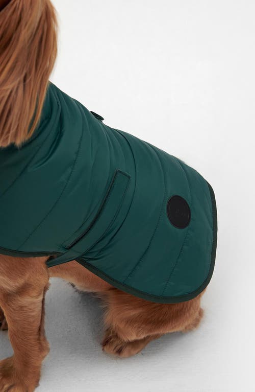 Barbour Baffle Quilted Dog Coat In Green