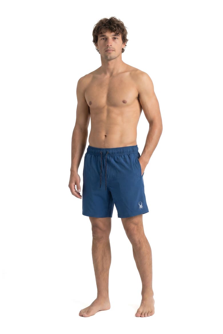 Ripstop Texture Volley Swim Shorts, Alternate, color, ABYSS