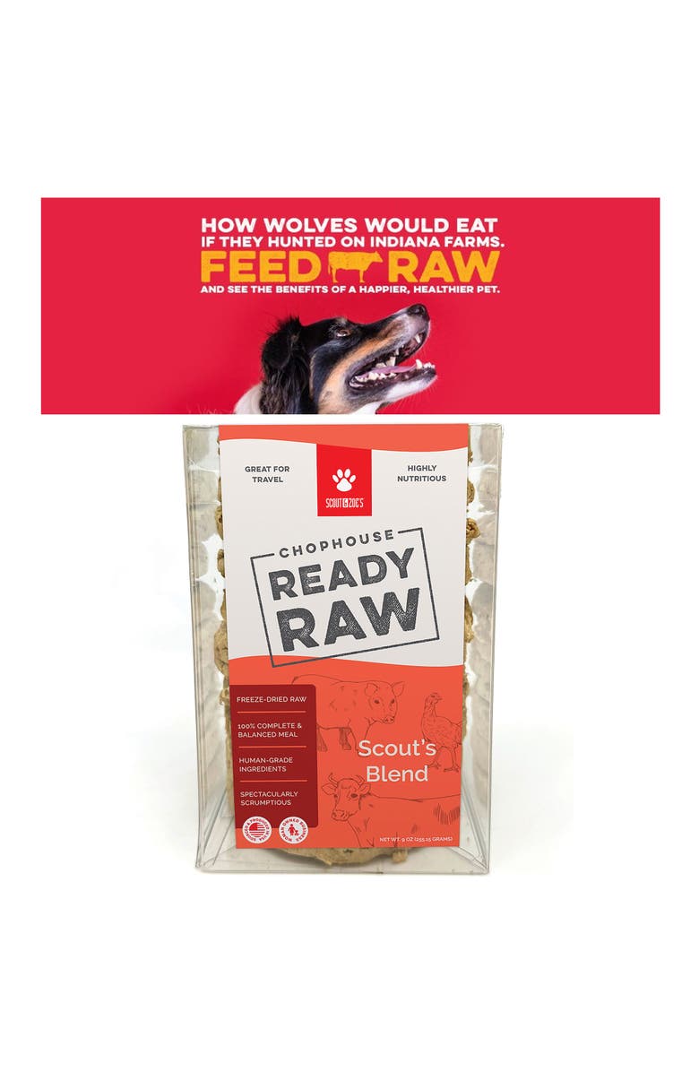 Scout & Zoe's Chophouse Ready Raw, Scouts Blend, Dog Food Freeze Dried Patties, Alternate, color, Multicolored