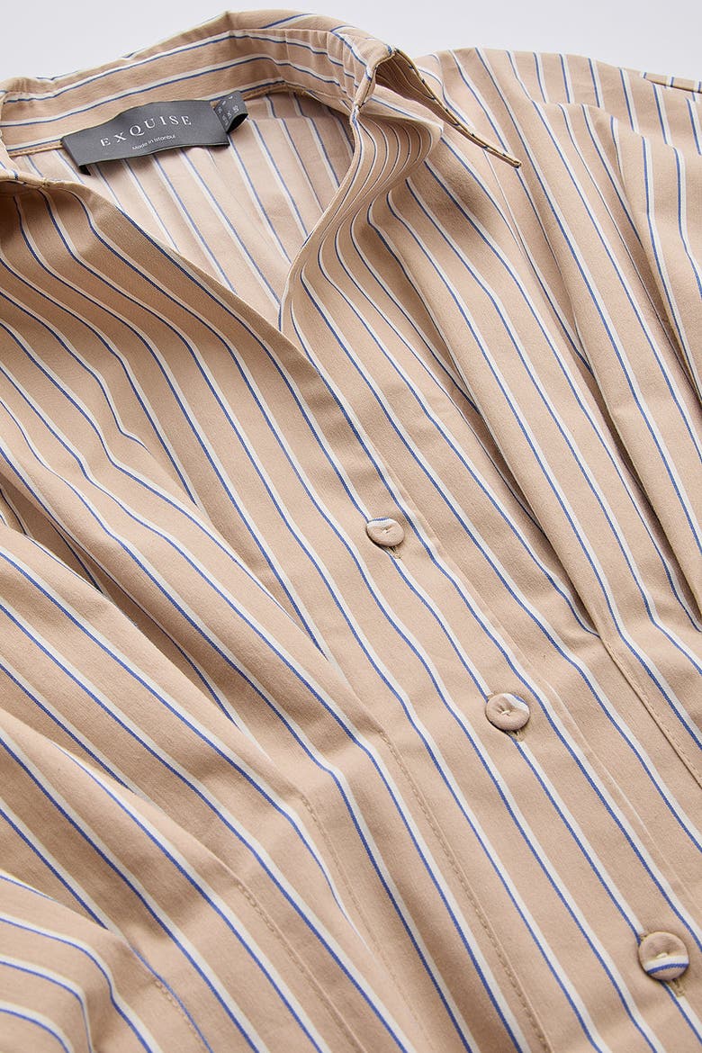 Nataly Collar Pleated Fitted Striped Shirt, Alternate, color, Multi Color