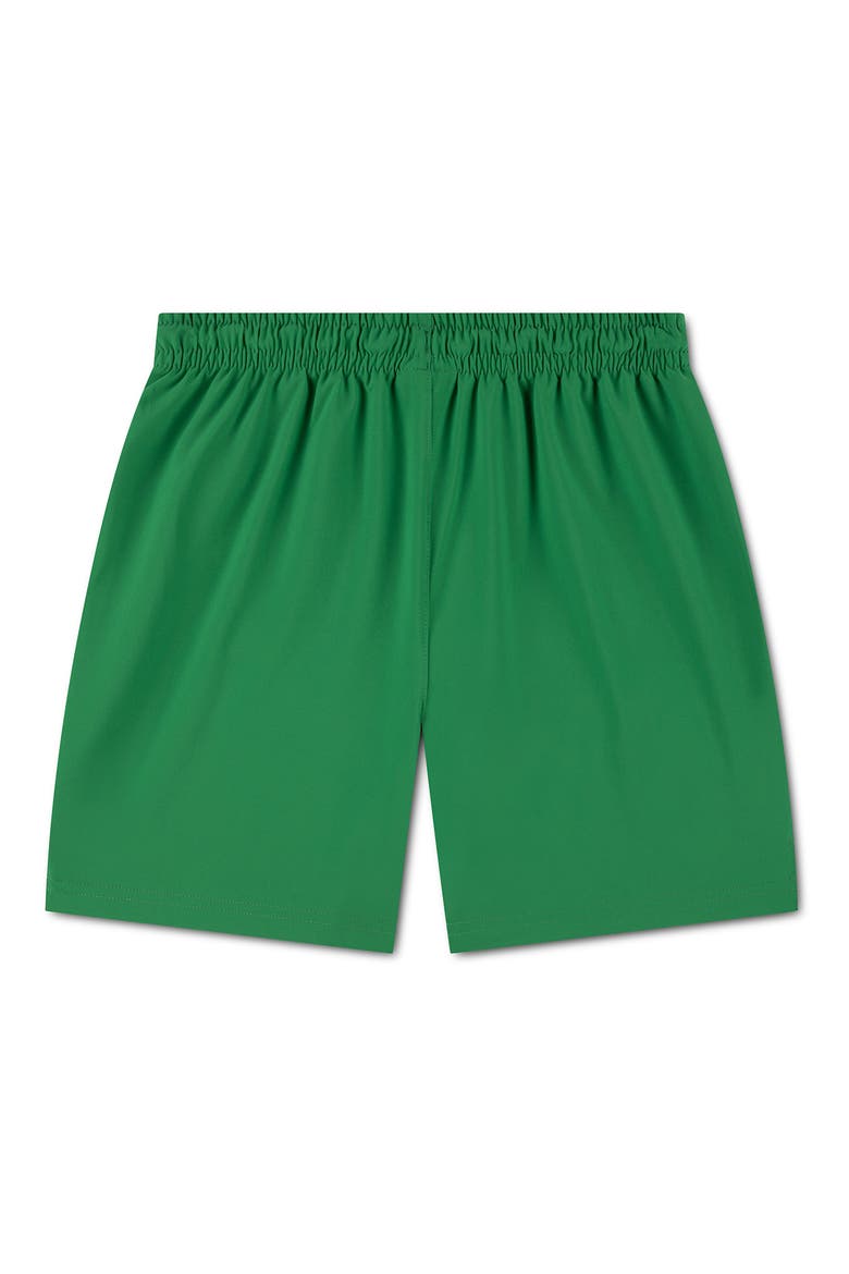 Kids' Jumpman Brooklyn Shorts, Alternate, color, LUCKY GREEN