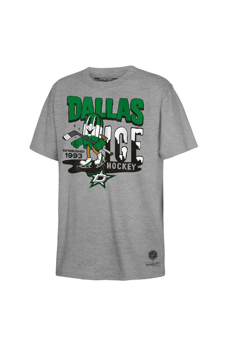 Youth Mitchell & Ness Gray Dallas Stars Popsicle T-Shirt, Alternate, color, Gray