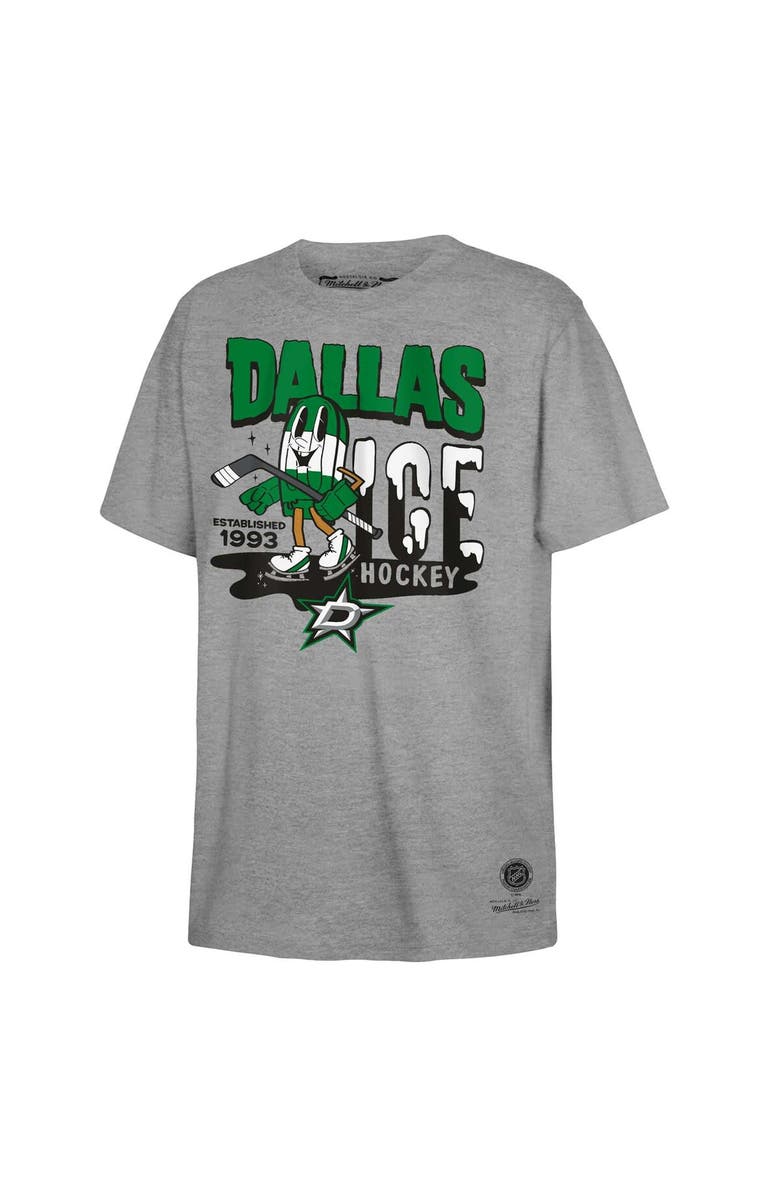 Mitchell & Ness Youth Mitchell & Ness Gray Dallas Stars Popsicle T-Shirt, Alternate, color, 