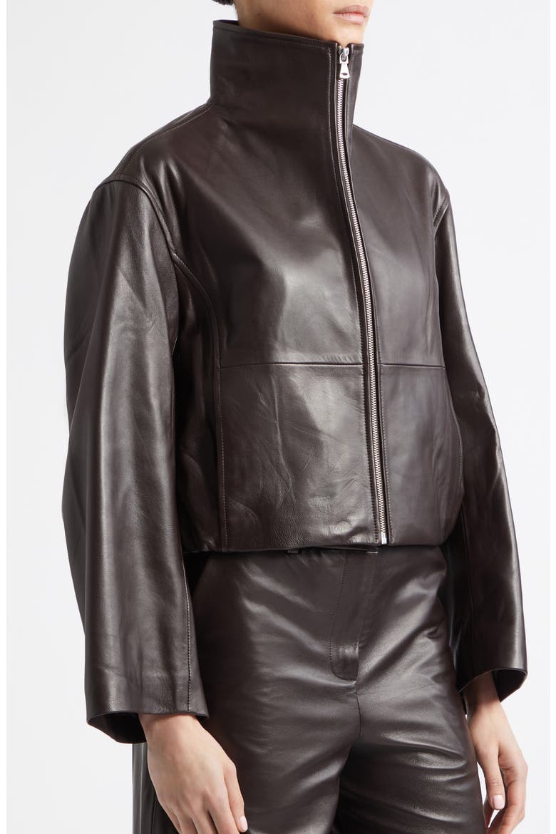 Etienne Everyday Leather Jacket, Alternate, color, DARK BROWN