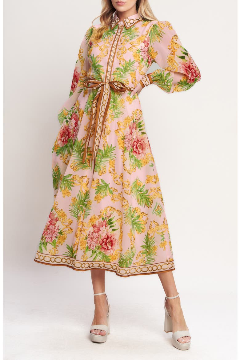 Print Long Sleeve Maxi Shirtdress, Main, color, PINK