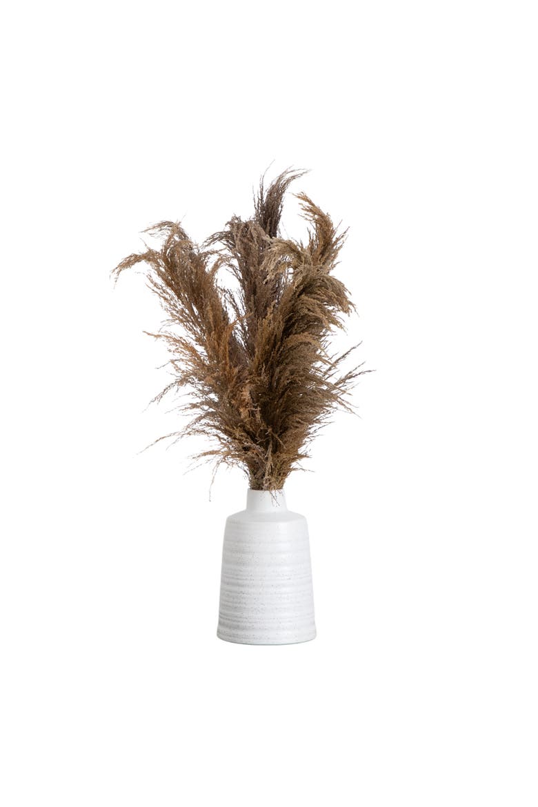 30-in Dried Natural Pampas Arrangement in Ceramic Vase, Main, color, Green