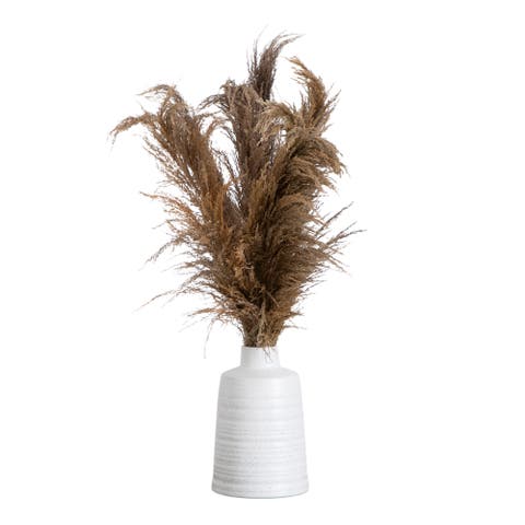 30-in Dried Natural Pampas Arrangement in Ceramic Vase
