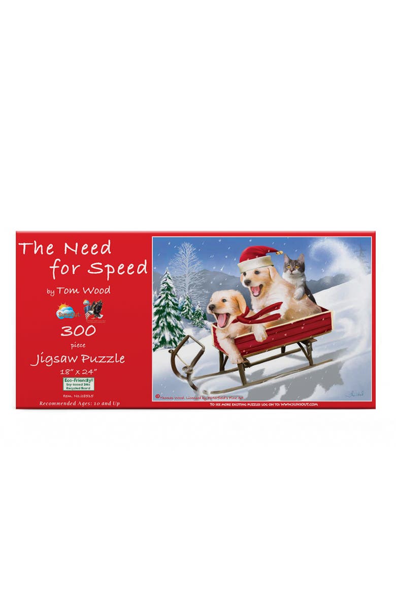 Need for Speed 300 piece Jigsaw Puzzle for Adults, Alternate, color, Multicolor