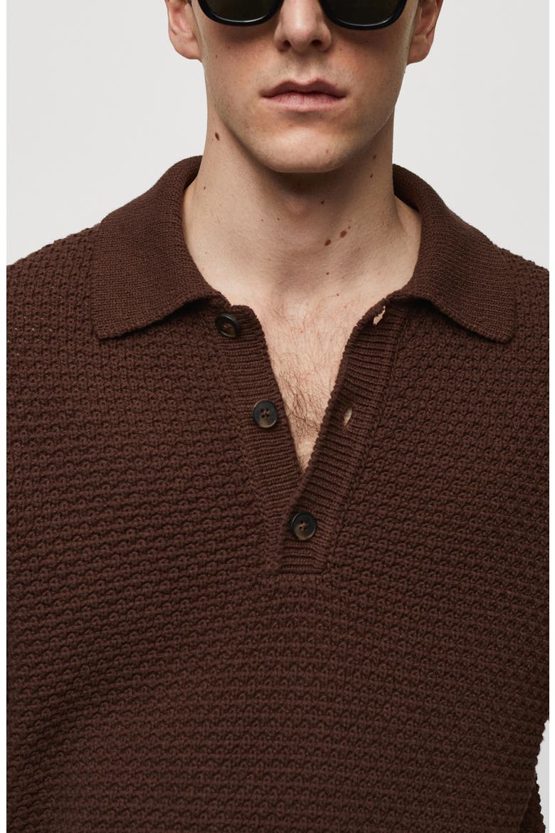 Braided Knit Polo, Alternate, color, TOBACCO BROWN