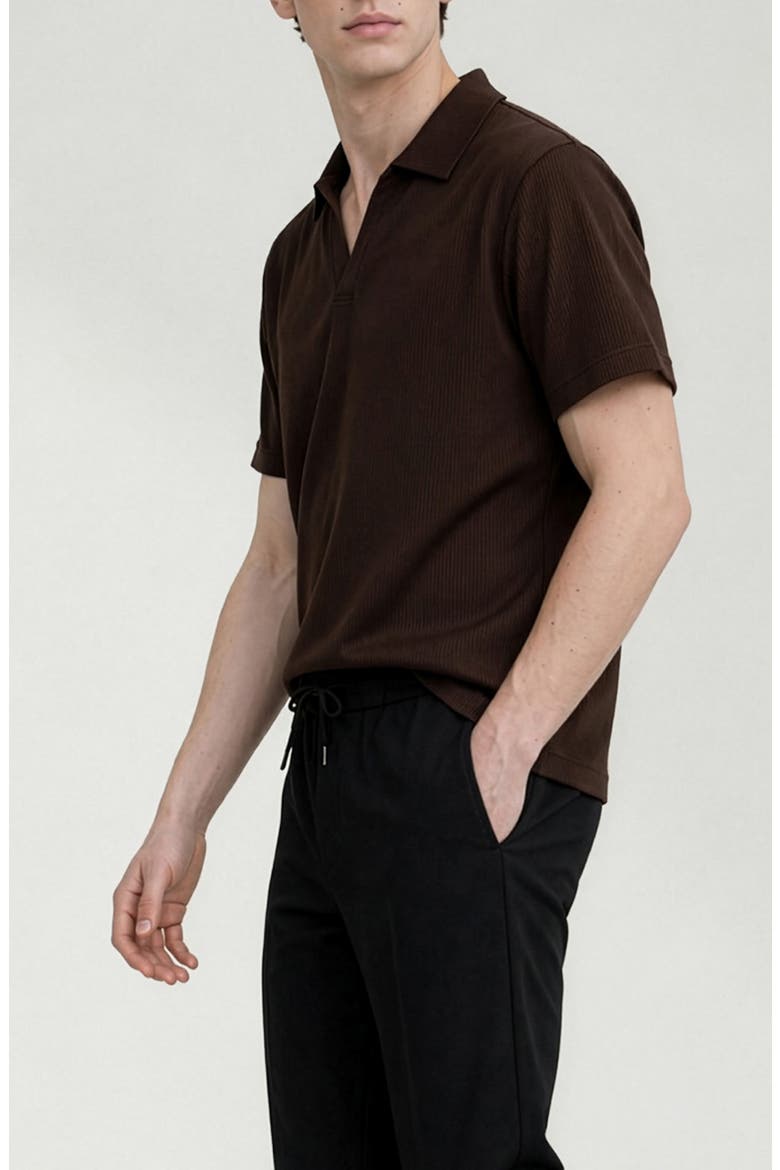 Ribbed Jonny Collar Polo, Alternate, color, CHOCOLATE