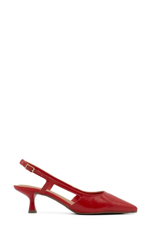 Bottero Botolivia Legacy Pointed Toe Slingback Pump