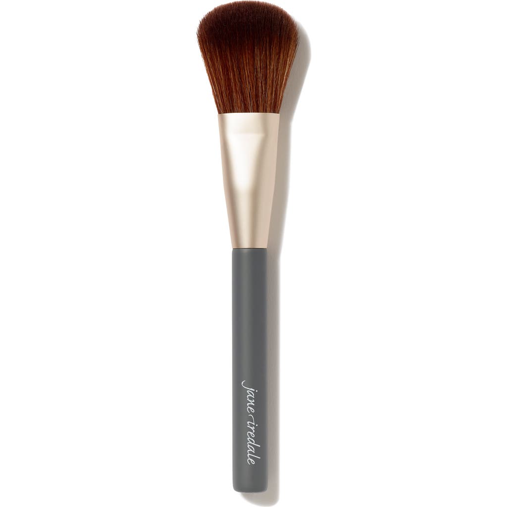 Jane Iredale Powder Complexion Brush In No Color