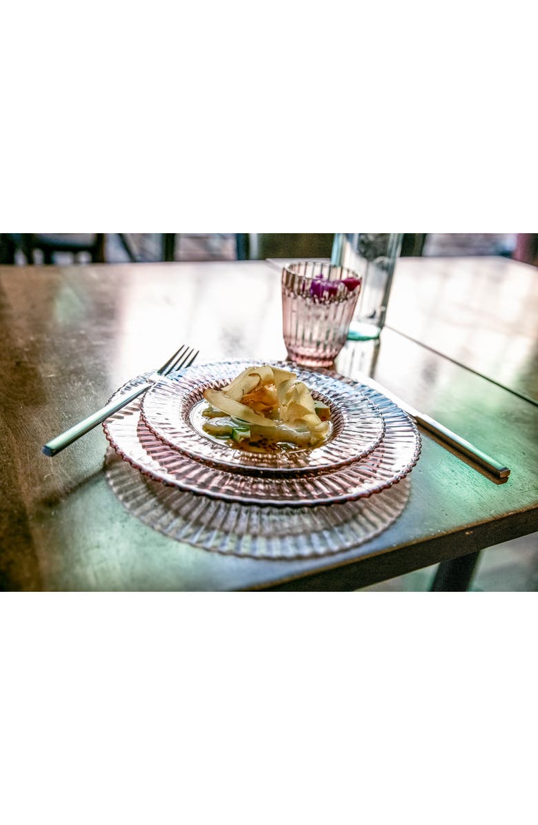 Fortessa Archie 12-Piece Pink Dinnerware Set, Alternate, color, Pink