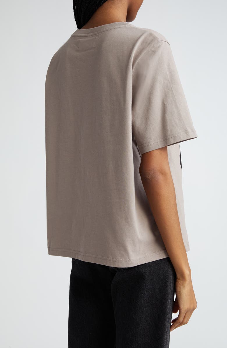 Stand Studio Hallie Organic Cotton Oversize Graphic T-Shirt, Alternate, color,