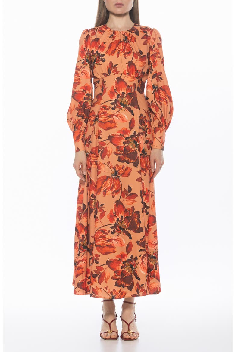 Yesenia Long Sleeve Empire Waist Maxi Dress, Main, color, RUST FLORAL