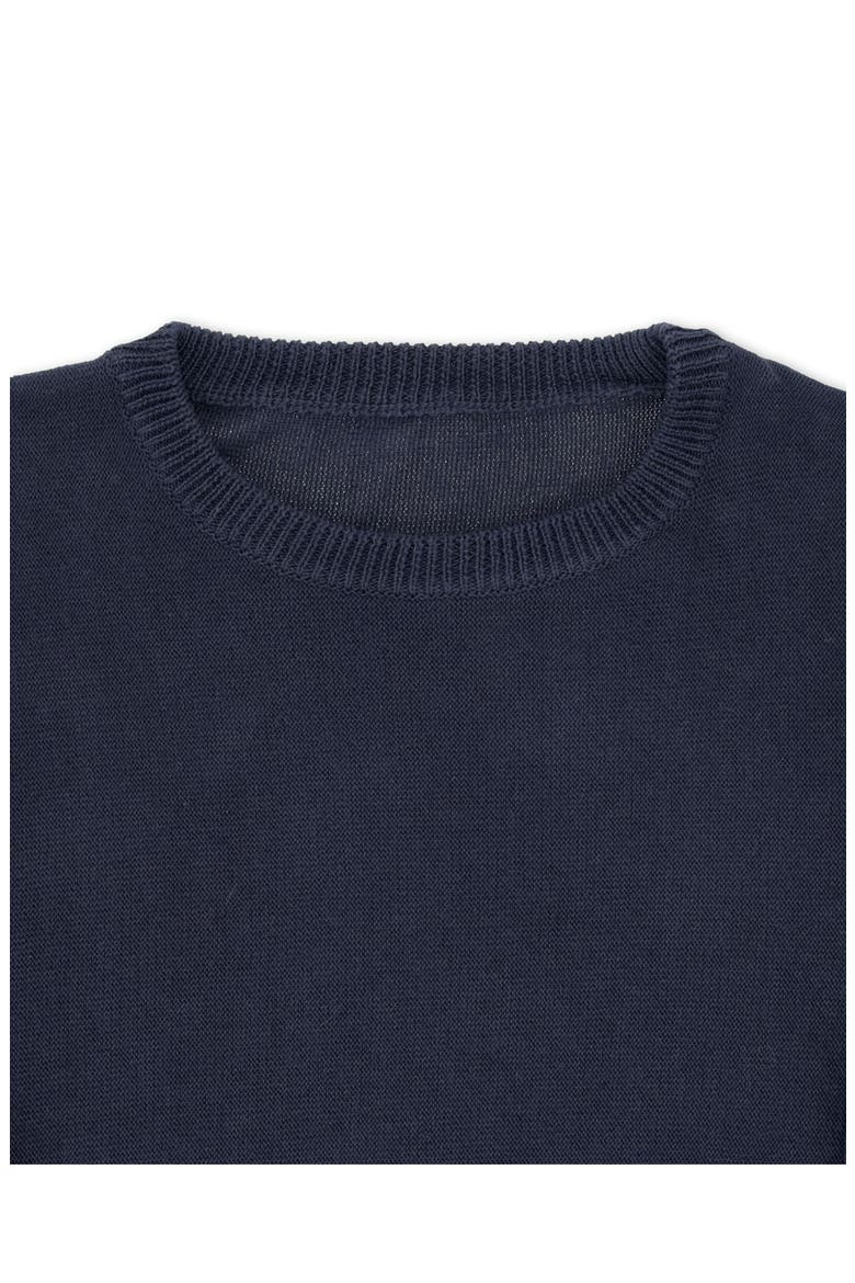 Rover Cotton Crewneck Sweater, Alternate, color, BLUE