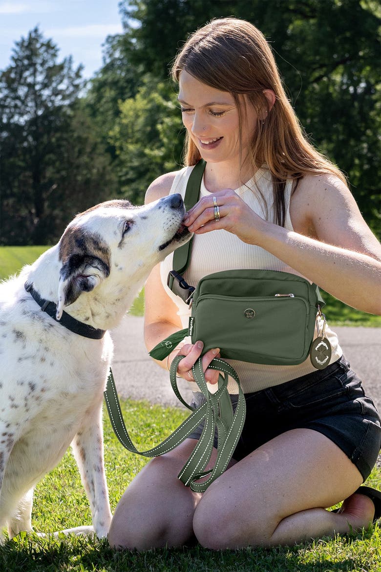 Reflective Leash, Alternate, color, Basil Green