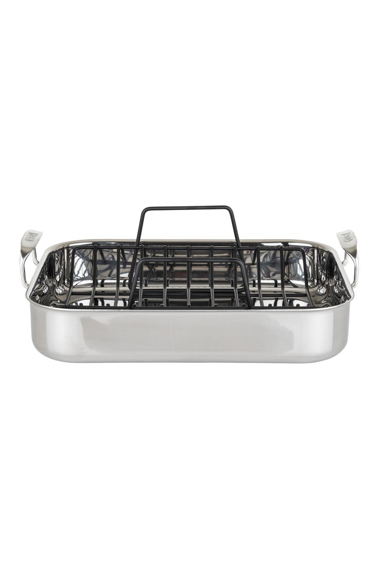 Stainless Steel Roasting Pan & Thermometer, Alternate, color, NO COLOR