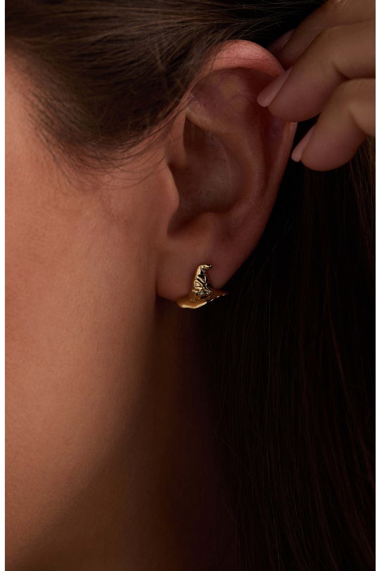 Harry Potter Hogwarts & Sorting Hat Earring set of 2, Alternate, color, Gold