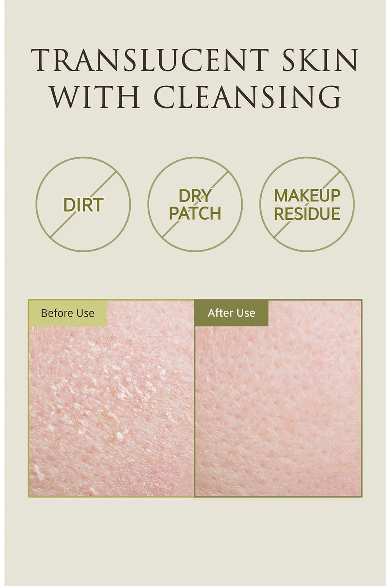 Whole Plant Effect Cleansing & Exfoliant, Alternate, color, NO COLOR
