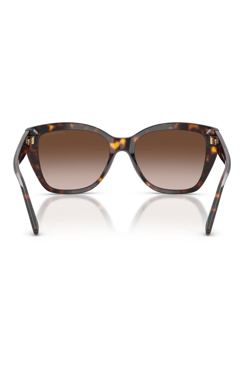 55mm Gradient Cat Eye Sunglasses, Alternate, color, SHINY HAVANA / BROWN GRADIENT