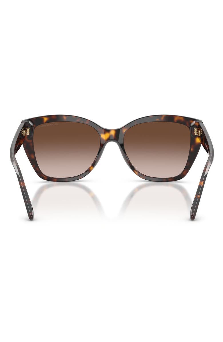 Emporio Armani 55mm Gradient Cat Eye Sunglasses, Alternate, color, Shiny Havana / Brown Gradient