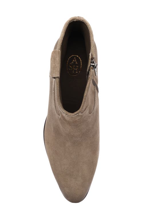 Ash Fame Bootie In Brown