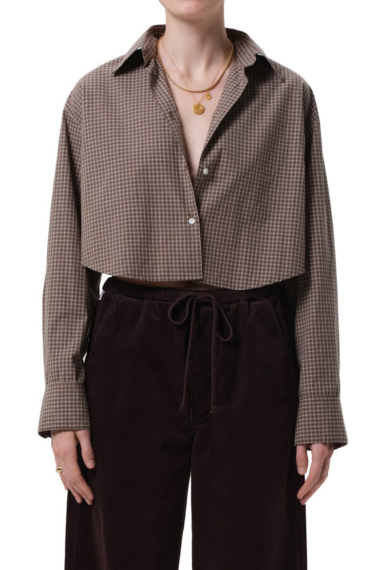 Ana Crop Long Sleeve Button-Up Shirt, Main, color, HRTAGE STRIPE