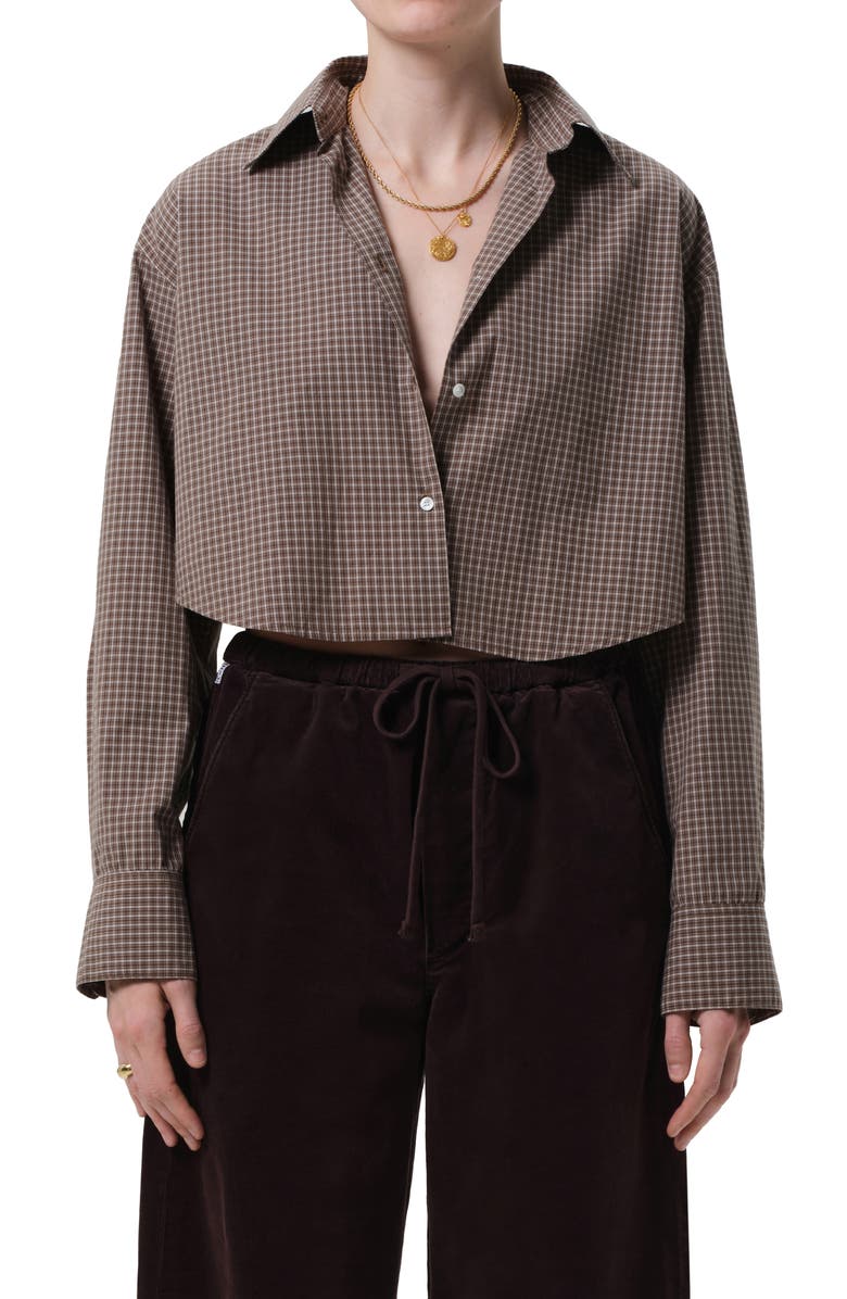 Citizens of Humanity Ana Crop Long Sleeve Button-Up Shirt, Main, color, Hrtage Stripe