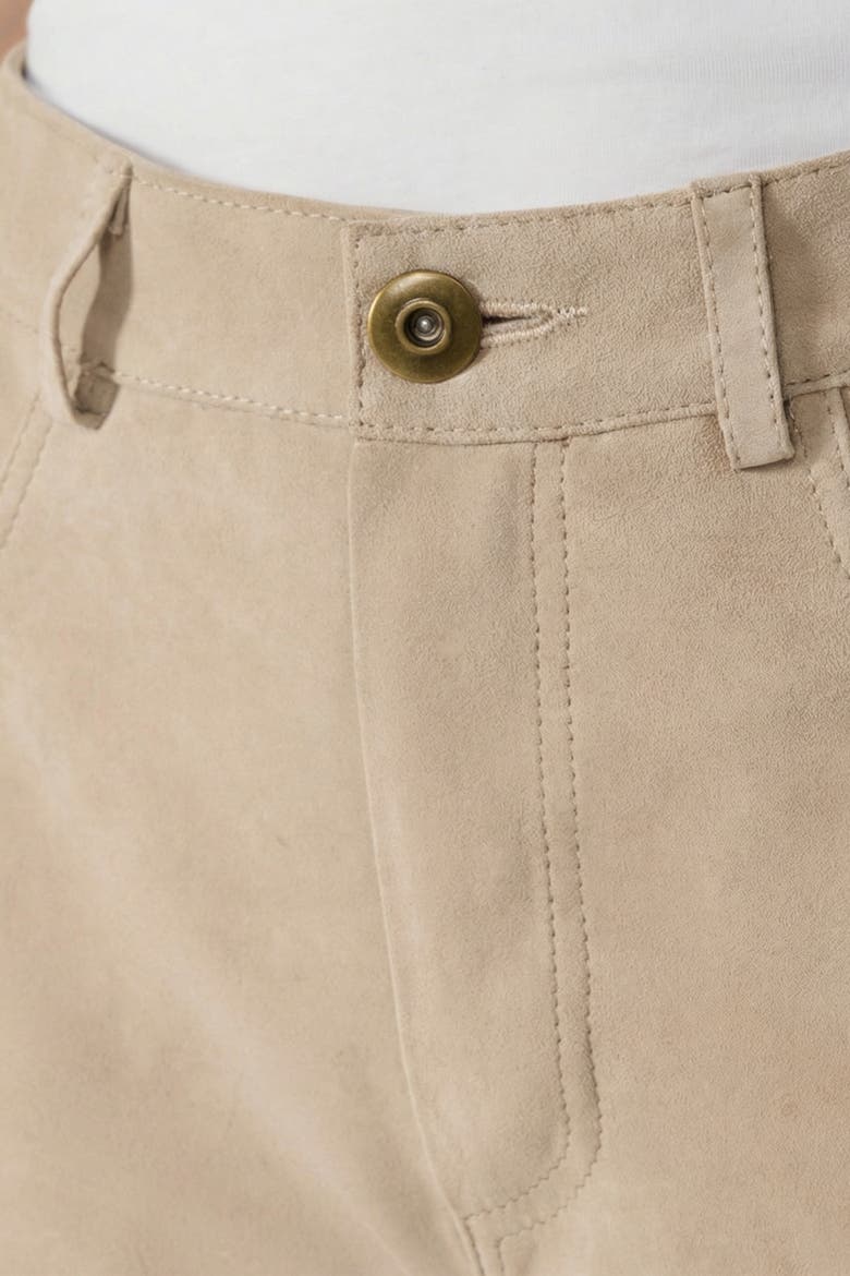 Suede Trousers, Alternate, color, Beige