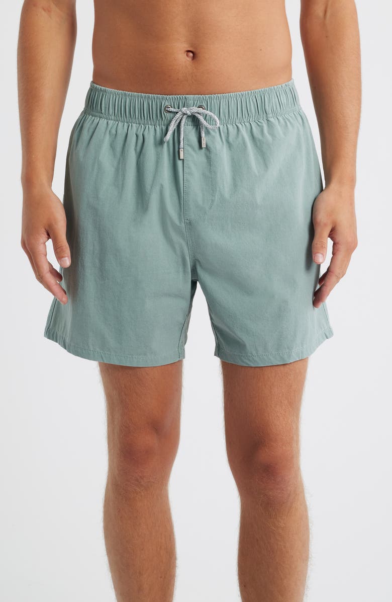 Vintage Summer Volley Swim Trunks, Main, color, Sage