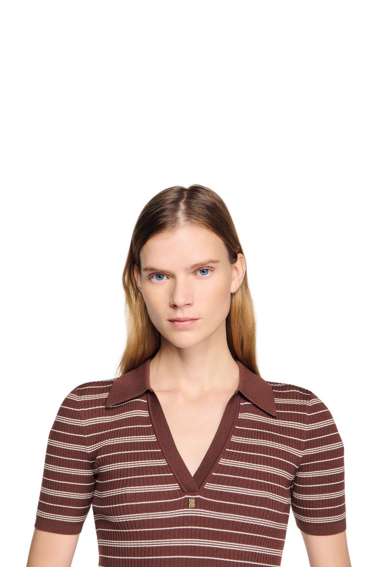 Striped V-neck polo sweater, Alternate, color, Brown