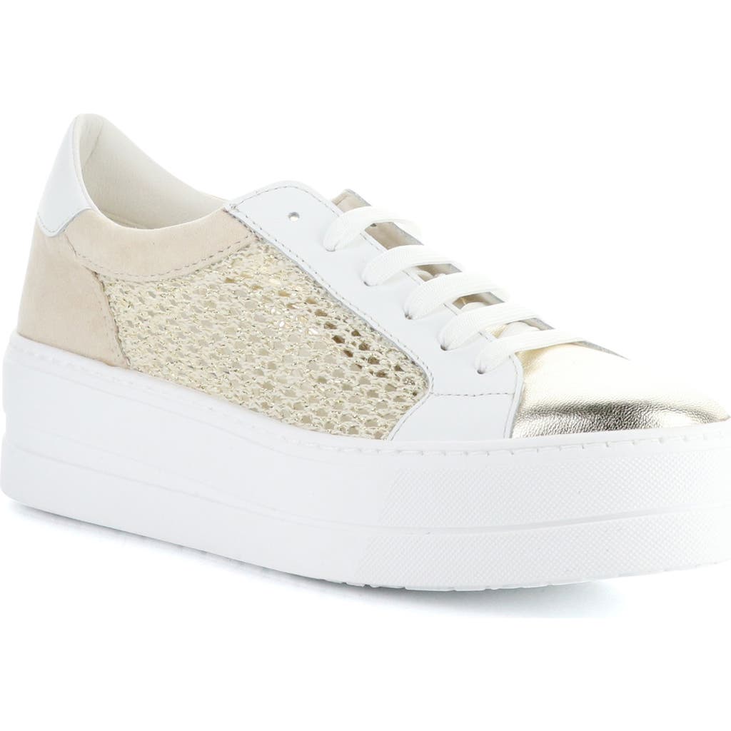 Bos. & Co. Marlo Platform Sneaker In Gold/white