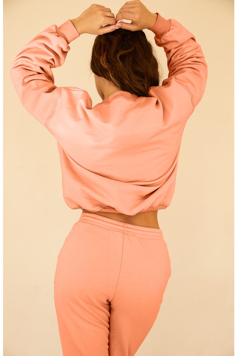 DD Wave Long Sleeve Crewneck, Alternate, color, Pink Sands